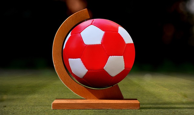 略限制