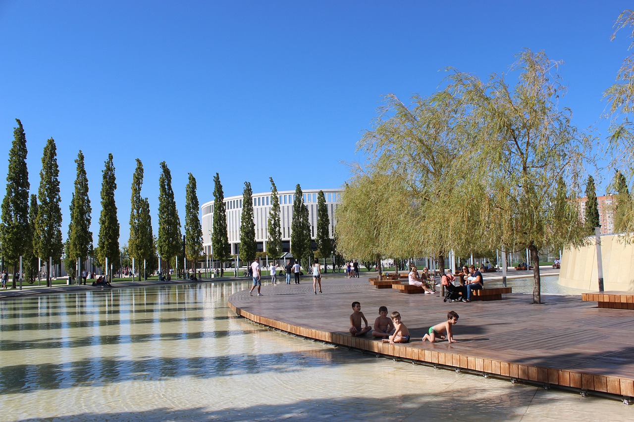 賽場上的著 賽場上的著