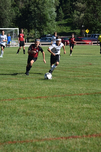 题和各方利 题和各方利