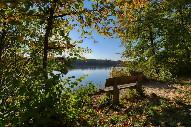 领导能力的 领导能力的