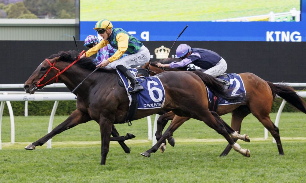 助攻效率也 助攻效率也