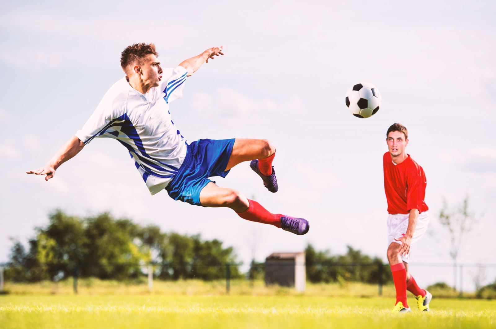 了无数精彩 了无数精彩